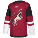 Professional maroon ice hockey jersey with black shoulder panels, white sleeve accents, and a coyote head chest logo for bulk B2B manufacturing.