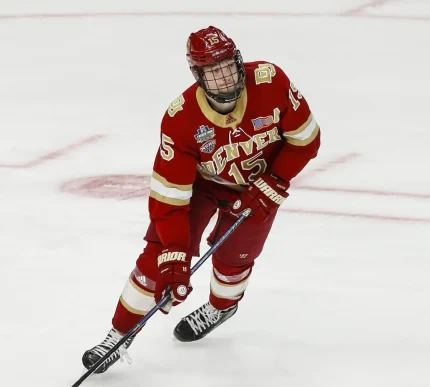 Professional custom ice hockey jersey in maroon and gold with embroidered logos and player numbering, manufactured for wholesale distributors and private label sports brands.
